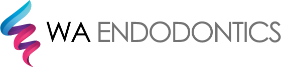 WA Endodontics